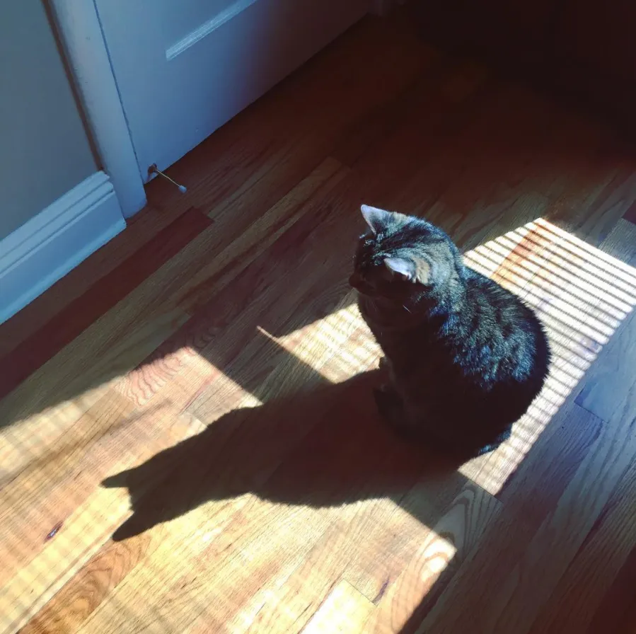 Holy crap, I’m Batman!