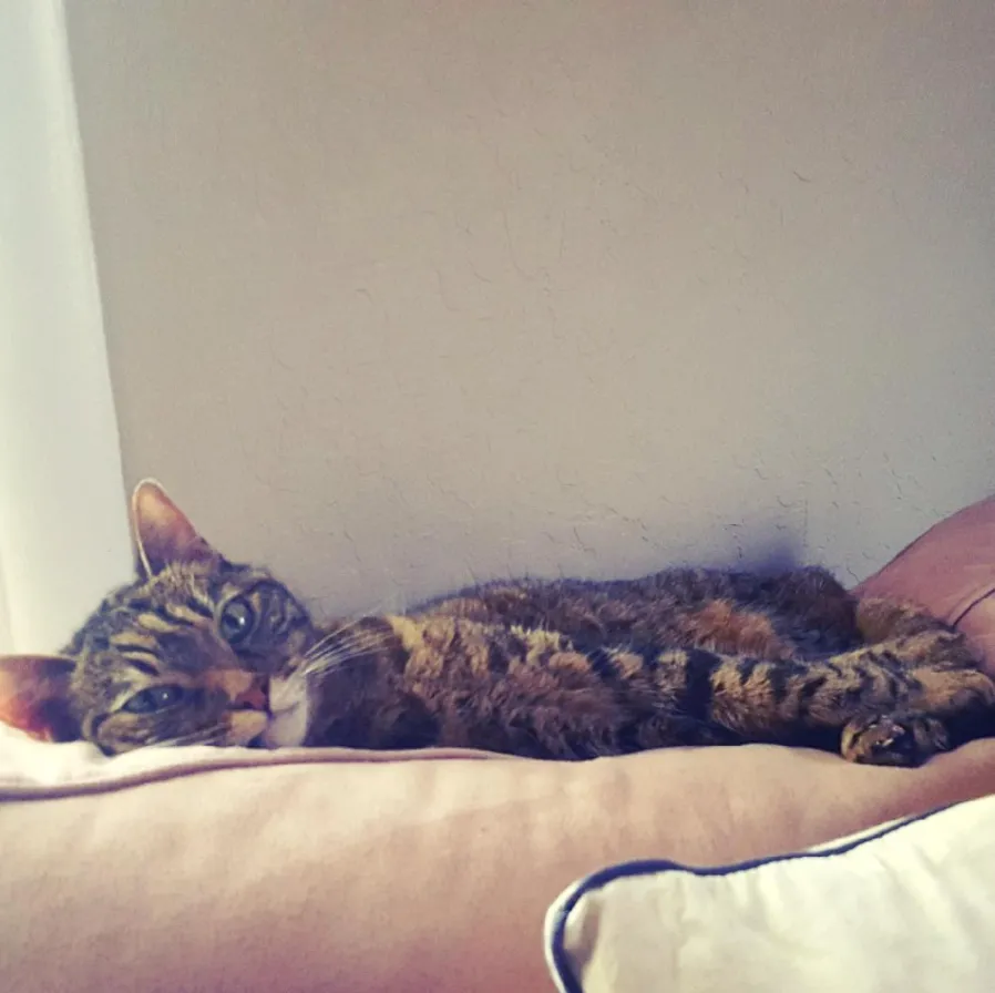 Sleepy Abby