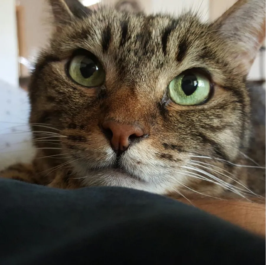 Look into my eyes