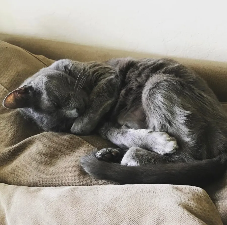 Sleepy boy