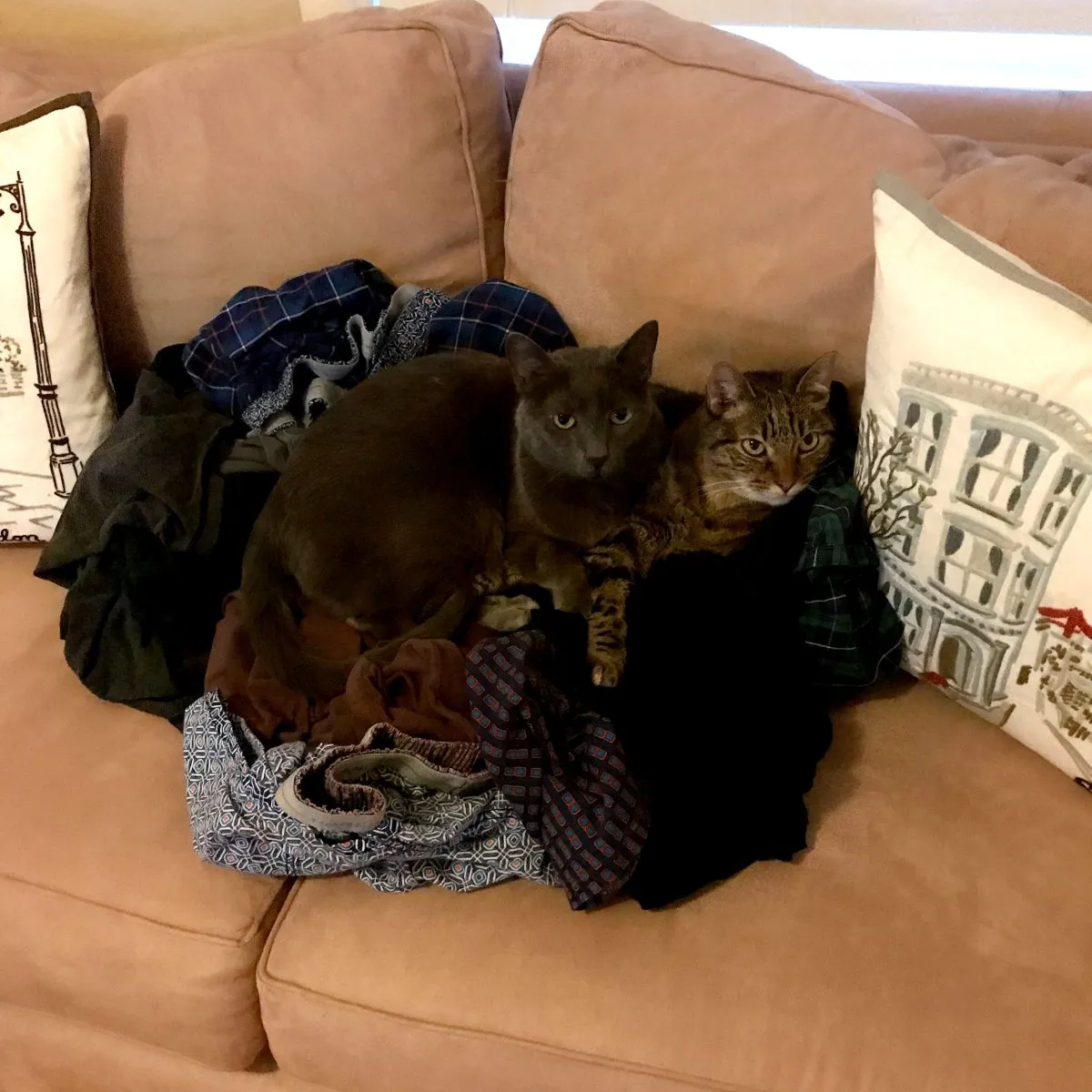 It’s laundry day!