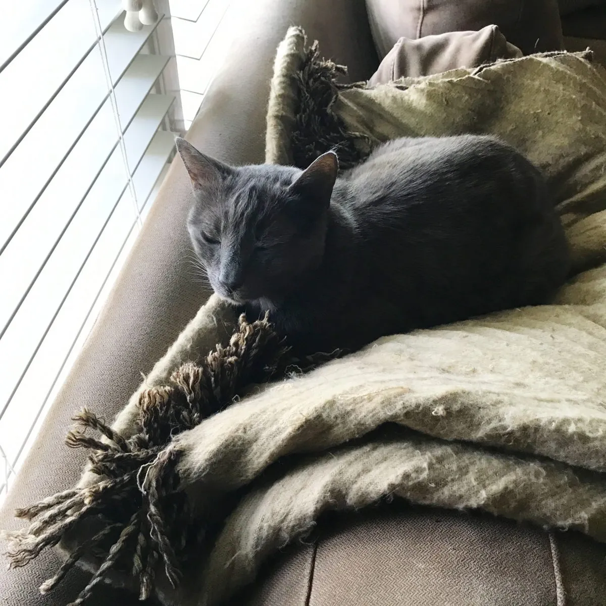 My Sweet BooBear