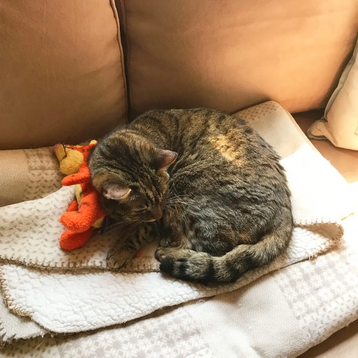 Yep, she loves Tigger